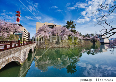 桜のある風景 113520983