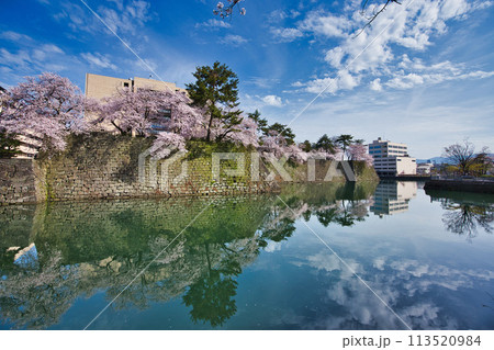 桜のある風景 113520984