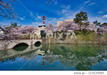 桜のある風景 113520985