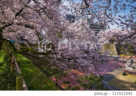 桜のある風景 113521042