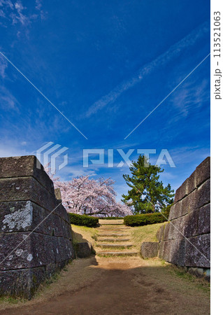 桜のある風景 113521063