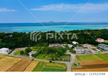 沖縄 備瀬のフクギ並木 沖縄 備瀬のフクギ並木 113521594