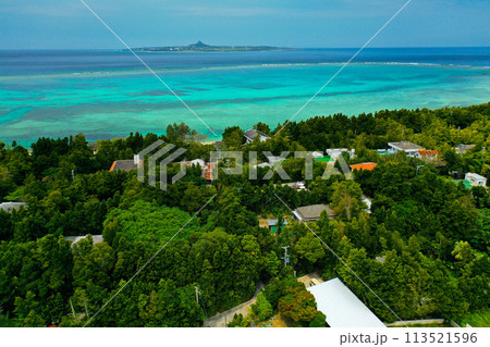 沖縄 備瀬のフクギ並木 沖縄 備瀬のフクギ並木 113521596