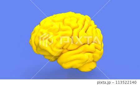 The yellow Brain for sci or education concept 3d rendering. 113522140