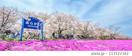 「東京都」春の荒川赤羽桜堤緑地の芝桜と桜 113522162