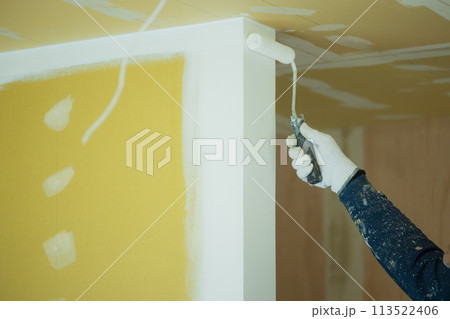 内装業の若い男性　　　　 113522406