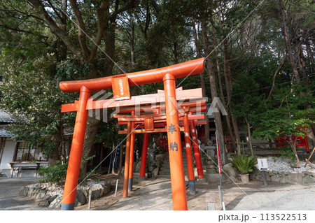 奥之宮八社＜宮地嶽神社/福岡県福津市/2023年12月＞ 113522513