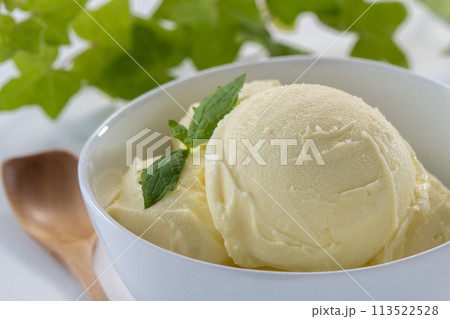 冷たくて美味しいアイスクリーム 冷たくて美味しいアイスクリーム 113522528