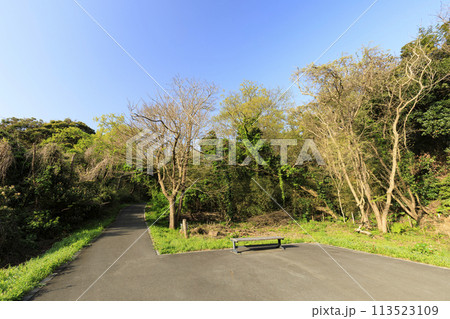 湿原のある風景(春) 湿原のある風景(春) 113523109
