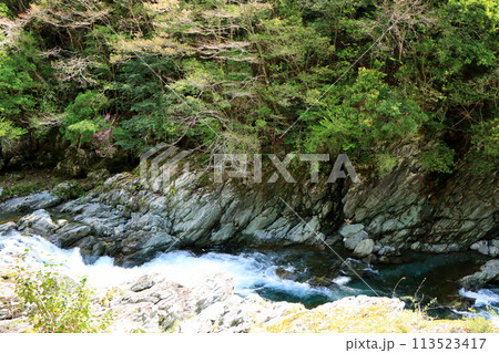 高知県天然記念物に指定されている汗見川に露頭している枕状溶岩 高知県天然記念物に指定されている汗見川に露頭している枕状溶岩 113523417