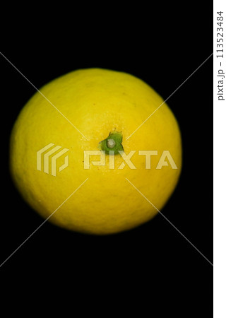 【柑橘】日向夏【マクロ写真】 【柑橘】日向夏【マクロ写真】 113523484