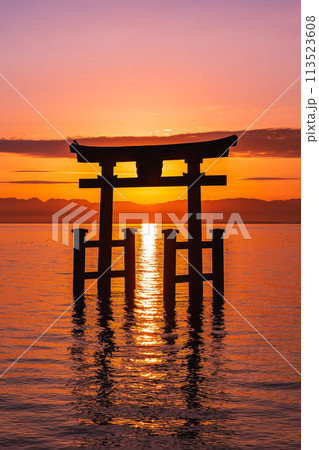 秋の琵琶湖 白髭神社 大鳥居から昇る朝日 秋の琵琶湖 白髭神社 大鳥居から昇る朝日 113523608