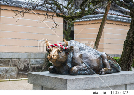 Japan bull or ox god statue at Dazaifu Tenmangu in Fukuoka Japan bull or ox god statue at Dazaifu Tenmangu in Fukuoka 113523722