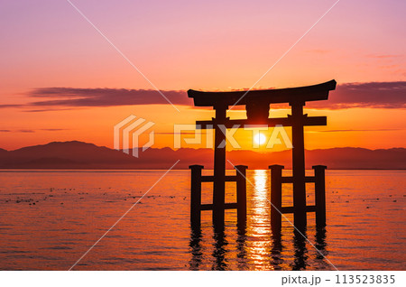 秋の琵琶湖　白髭神社　大鳥居から昇る朝日 113523835