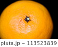 【柑橘】はるみ【マクロ写真】 113523839