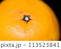 【柑橘】はるみ【マクロ写真】 113523841