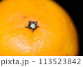 【柑橘】はるみ【マクロ写真】 113523842