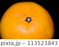 【柑橘】はるみ【マクロ写真】 113523843