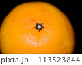 【柑橘】はるみ【マクロ写真】 113523844