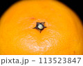 【柑橘】はるみ【マクロ写真】 113523847