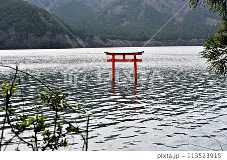九頭龍神社の鳥居 九頭龍神社の鳥居 113523915