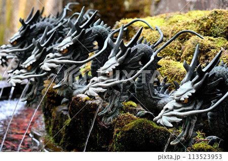 箱根神社の龍 箱根神社の龍 113523953