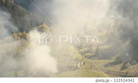 Aerial of thick smoke at mountain. Fir, leafy forest in smoky fog. Autumn nobody nature landscape Aerial of thick smoke at mountain. Fir, leafy forest in smoky fog. Autumn nobody nature landscape 113524341