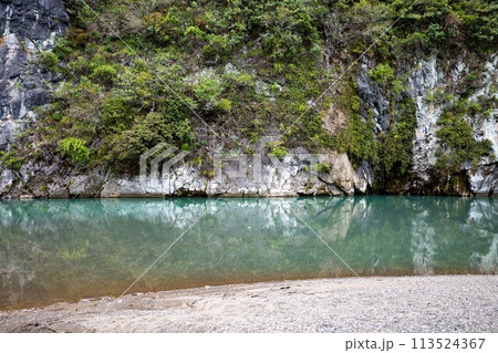 春の熊本県八代郡氷川町立神峡 春の熊本県八代郡氷川町立神峡 113524367