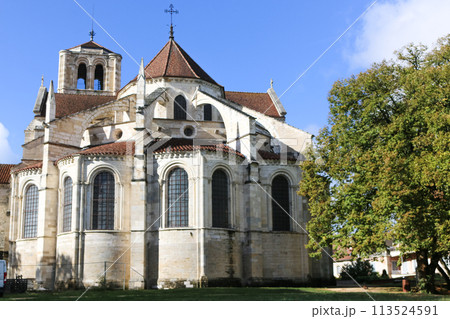 フランスブルゴーニュの世界遺産「サント・マドレーヌ・バジリカ聖堂」の裏手側 フランスブルゴーニュの世界遺産「サント・マドレーヌ・バジリカ聖堂」の裏手側 113524591