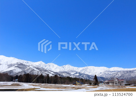 4月の白馬村からの北アルプス 麗しき北アルプス 4月の白馬村からの北アルプス 麗しき北アルプス 113524700