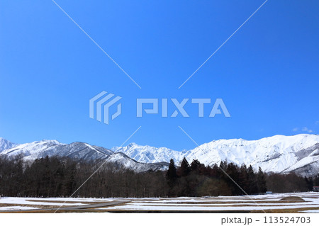 4月の白馬村からの北アルプス　　　麗しき北アルプス 113524703