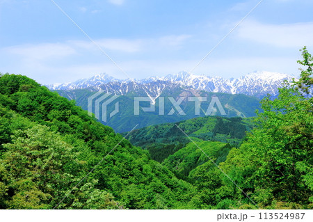 5月の国道406号からの北アルプス　　　麗しき北アルプス 113524987