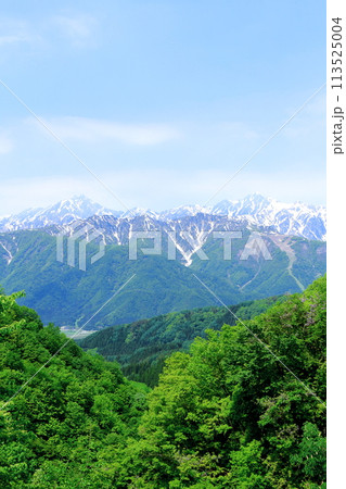 5月の国道406号からの北アルプス　　　麗しき北アルプス 113525004