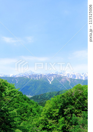 5月の国道406号からの北アルプス　　　麗しき北アルプス 113525006