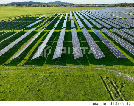 Solar panels on field in summer, aerial drone view Solar panels on field in summer, aerial drone view 113525137