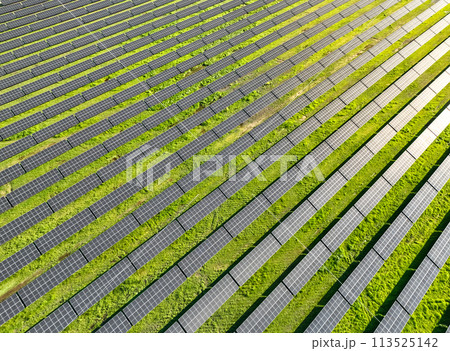 Solar panels on field in summer, aerial drone view 113525142