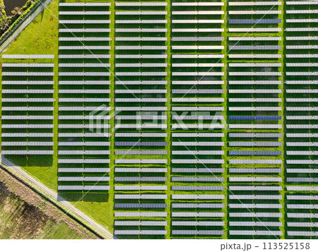 Solar panels on field in summer, aerial drone view Solar panels on field in summer, aerial drone view 113525158