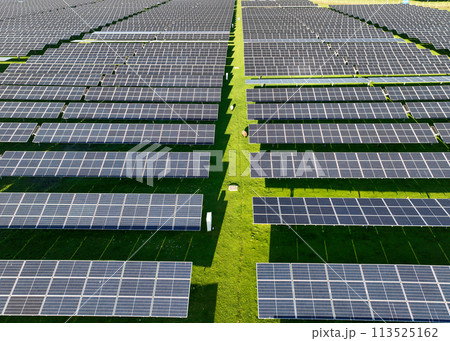 Solar panels on field in summer, aerial drone view Solar panels on field in summer, aerial drone view 113525162