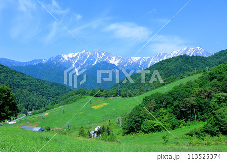6月の鹿島槍スキー場からの爺ヶ岳と鹿島槍ヶ岳 麗しき北アルプス 6月の鹿島槍スキー場からの爺ヶ岳と鹿島槍ヶ岳 麗しき北アルプス 113525374