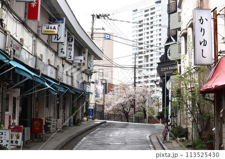 都橋商店街、桜満開の頃(神奈川県横浜市中区宮川町1丁目) 都橋商店街、桜満開の頃(神奈川県横浜市中区宮川町1丁目) 113525430