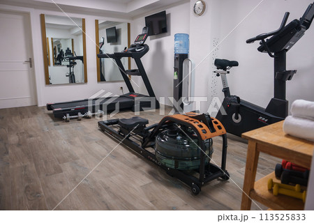 Modern home gym with various exercise machines rowing machine, treadmill, dumbbells, exercise bike. Wall clock, water cooler, mirrors. Private fitness space. 113525833