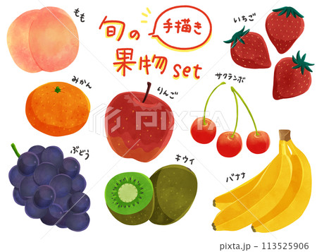 手描き　8種類の果物イラストセット 113525906