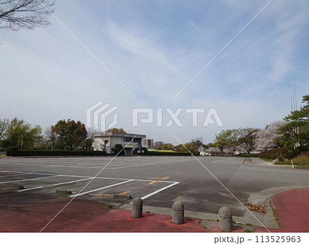 お花見の名所,公園の駐車場(パーキング)~満開の桜@晴れた日の公園 お花見の名所,公園の駐車場(パーキング)~満開の桜@晴れた日の公園 113525963
