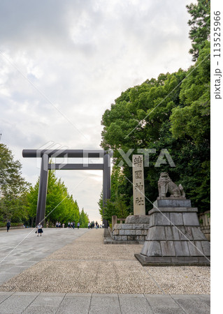 東京都 靖国神社の第一鳥居 東京都 靖国神社の第一鳥居 113525966
