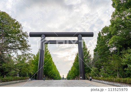 東京都　夕空と靖国神社の第一鳥居 113525970