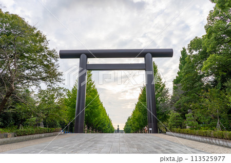 東京都　夕空と靖国神社の第一鳥居 113525977