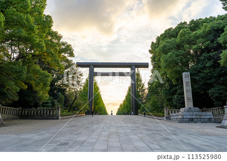 東京都　夕焼け空と靖国神社の第一鳥居 113525980