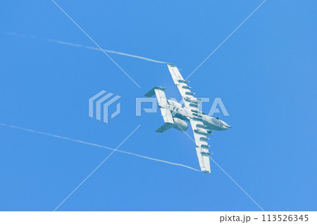 旋回するアメリカ空軍A-10AサンダーボルトII攻撃機 113526345