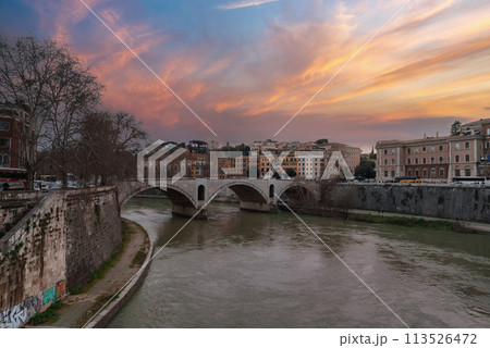 Urban river scene with stone bridge spanning grey water under an overcast sky. Trees line one bank, European buildings on the other, parked cars on street. 113526472