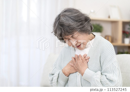 体調不良のシニア女性　胸痛　胃痛　逆流性食道炎 113527245